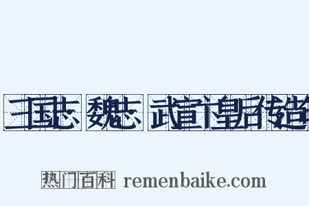 三国志·魏志·武宣卞皇后传造句是什么意思的图片